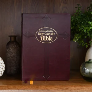 ST JOSEPH NEW CATHOLIC BIBLE Gift Edition Large Print #614/19BG