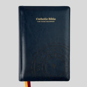 THE GREAT ADVENTURE CATHOLIC BIBLE For Young Beginners Level 1