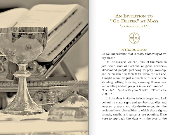 POCKET GUIDE TO THE MASS By FR. MIKE SCHMITZ AND DR. EDWARD SRI - Image 3