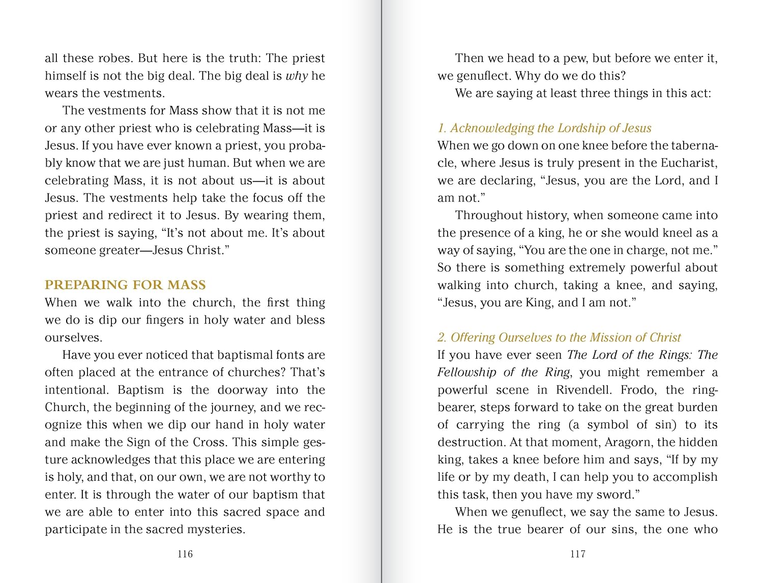 POCKET GUIDE TO THE MASS By FR. MIKE SCHMITZ AND DR. EDWARD SRI - Image 5