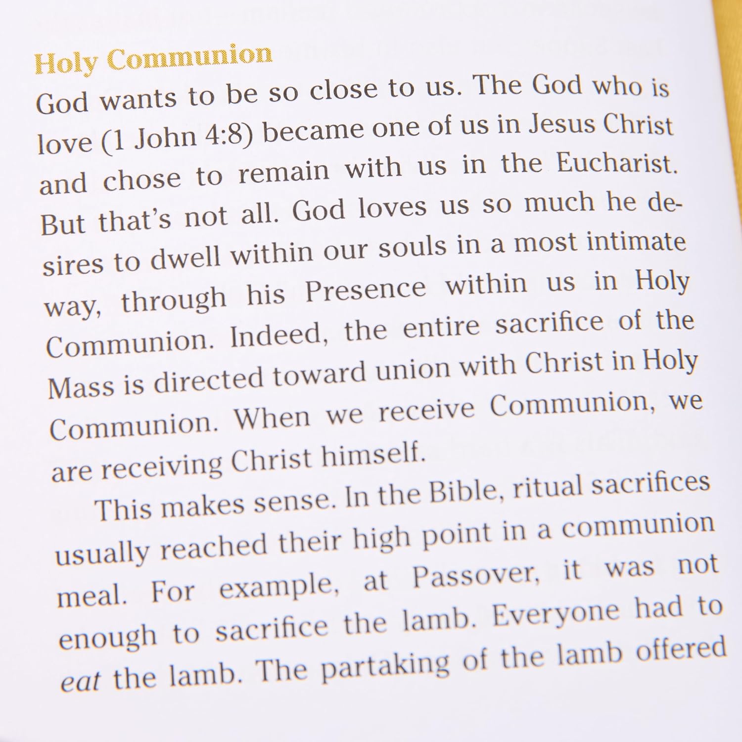 POCKET GUIDE TO THE MASS By FR. MIKE SCHMITZ AND DR. EDWARD SRI - Image 6