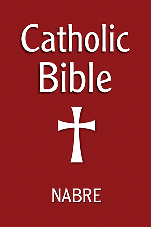 CATHOLIC BIBLE NABRE