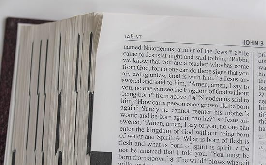 HOLY BIBLE NABRE Fireside School and Church Edition - Image 2