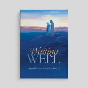 WAITING WELL: ADVENT JOURNAL FOR YEAR A (2026) WITH FR. MIKE SCHMITZ