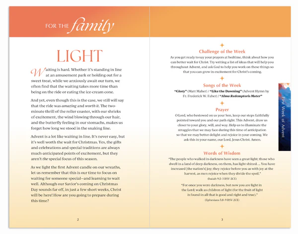 WAITING WELL: ADVENT JOURNAL FOR YEAR A (2026) WITH FR. MIKE SCHMITZ - Image 2