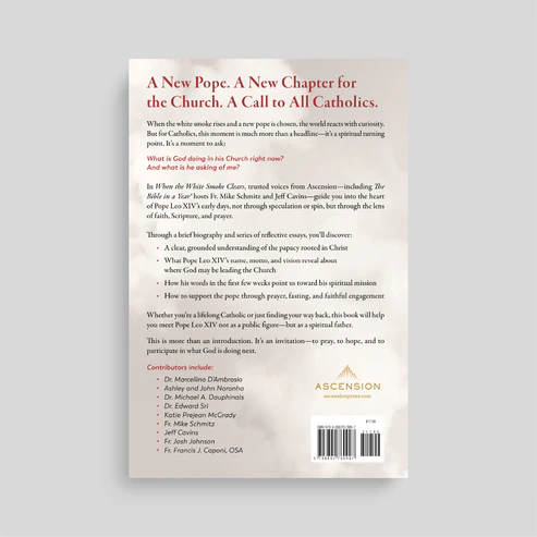 WHEN THE WHITE SMOKE CLEARS A Clear Guide To Pope Leo XIV's Early Days By - Image 2