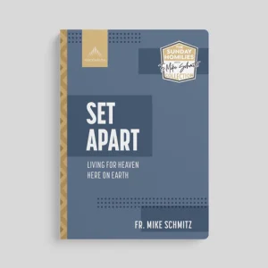 SET APART Living For Heaven Here On Earth By FR. MIKE SCHMITZ