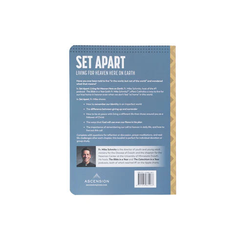 SET APART Living For Heaven Here On Earth By FR. MIKE SCHMITZ - Image 5