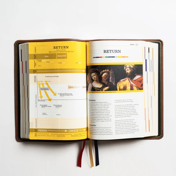 THE GREAT ADVENTURE CATHOLIC HOLY BIBLE Second Edition - PREMIUM - Image 3