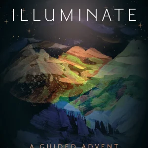 ILLUMINATE A Guided Advent Journal for Prayer and Meditation By Fr. John Nepil