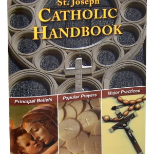 ST JOSEPH CATHOLIC HANDBOOK By REV. THOMAS J. DONAGHY