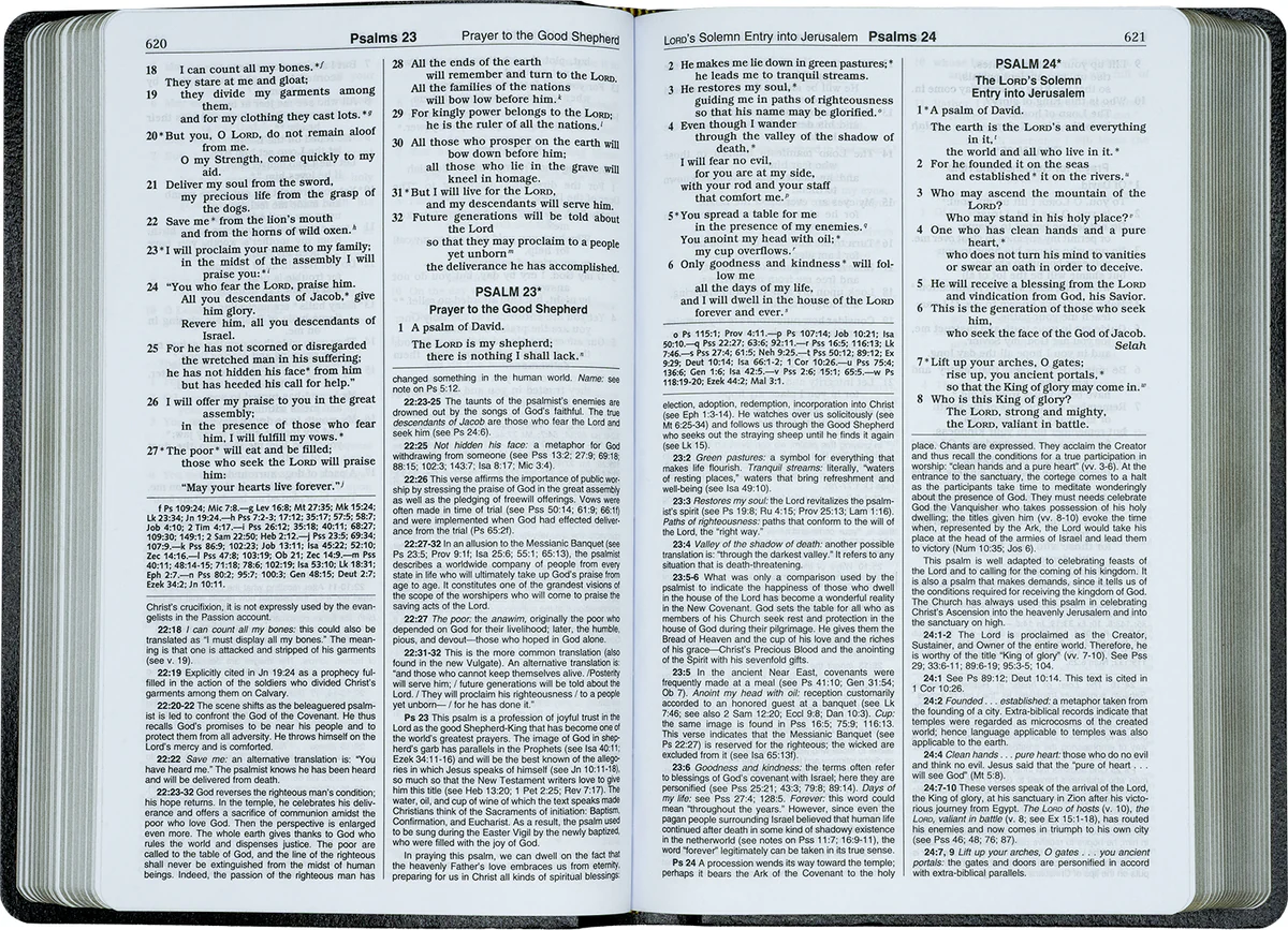 NEW CATHOLIC BIBLE Gift and Award Bible #W2404BLU - Image 4