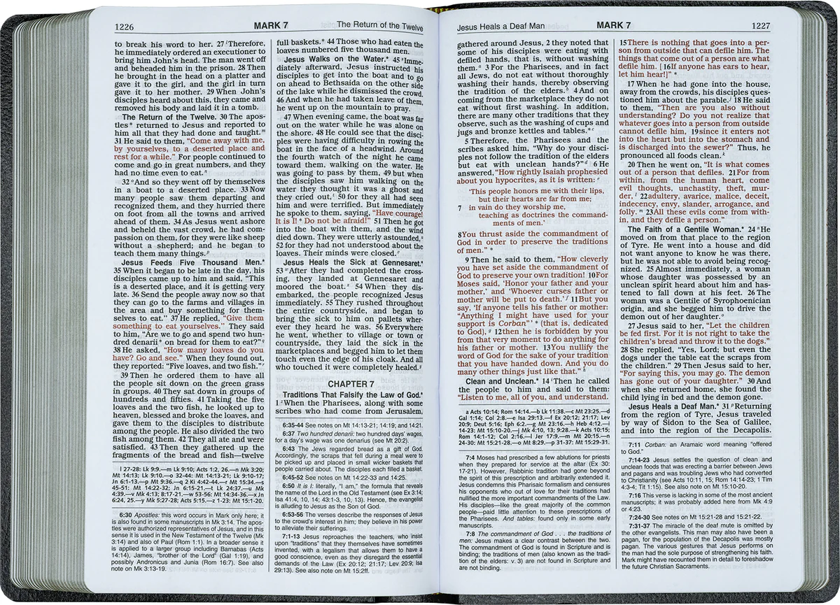 NEW CATHOLIC BIBLE Gift and Award Bible #W2404BLU - Image 3
