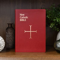 ST JOSEPH NEW CATHOLIC BIBLE No. 614/10BG