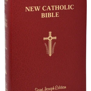 ST JOSEPH NEW CATHOLIC BIBLE No. 617/10