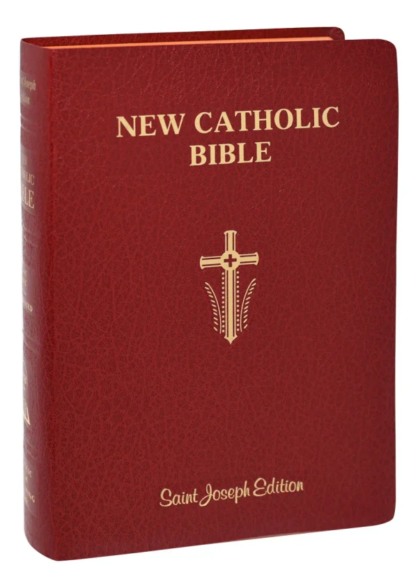 ST JOSEPH NEW CATHOLIC BIBLE No. 617/10