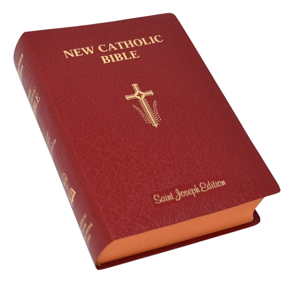 ST JOSEPH NEW CATHOLIC BIBLE No. 617/10 - Image 2