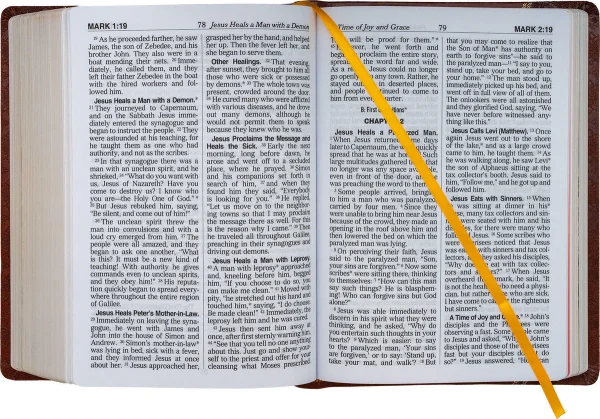ST JOSEPH NEW CATHOLIC BIBLE No. 617/10 - Image 5
